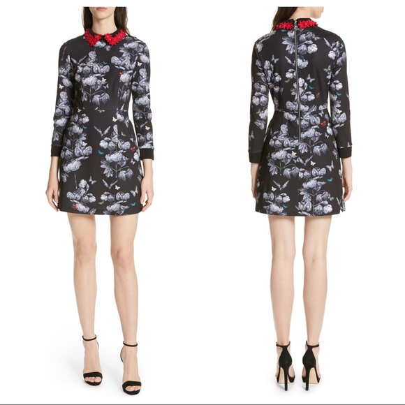 ted baker narnia collar dress